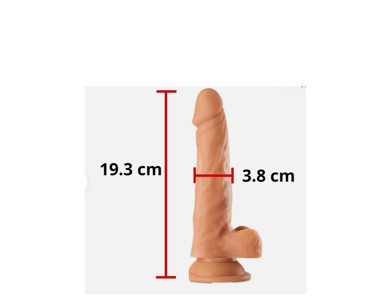  ������������� � ��������, �������� 19,3 / 3,8 ��